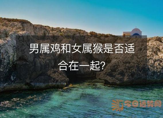 男属鸡和女属猴是否适合在一起？