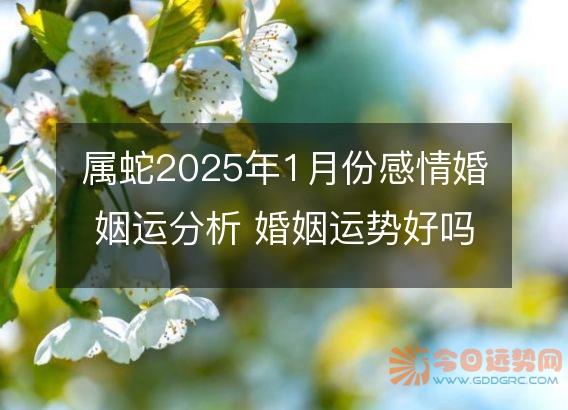 属蛇2025年1月份感情婚姻运分析 婚姻运势好吗