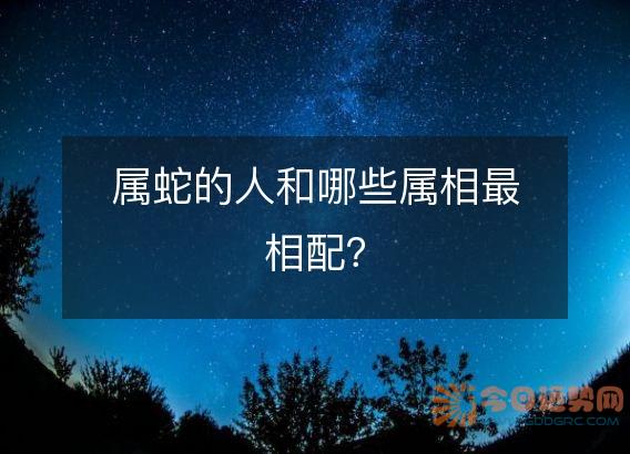 属蛇的人和哪些属相最相配？