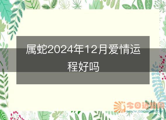 属蛇2025年12月爱情运程好吗