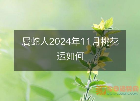 属蛇人2025年11月桃花运如何