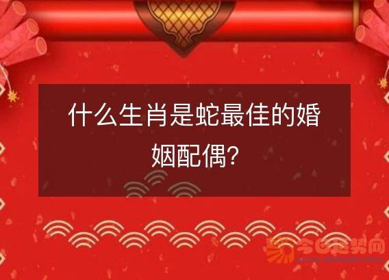 什么生肖是蛇最佳的婚姻配偶？