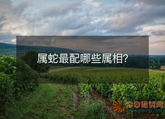 属蛇最配哪些属相？