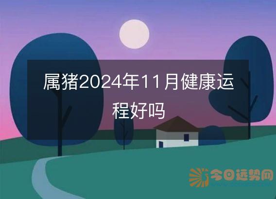 属猪2025年11月健康运程好吗
