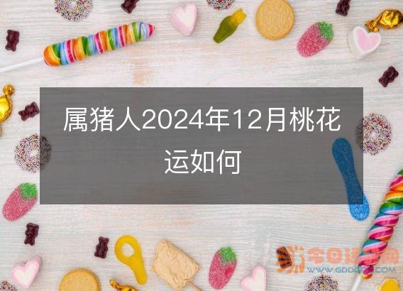 属猪人2025年12月桃花运如何