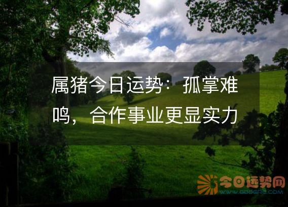 属猪今日运势：孤掌难鸣，合作事业更显实力