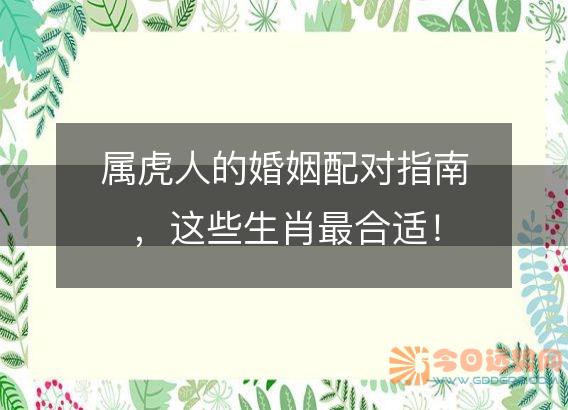 属虎人的婚姻配对指南，这些生肖最合适！